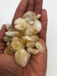 Brazilian Citrine .5-1-inch polished Trumble Stones Crystal 3 Stones - Infinite Treasures, LLC