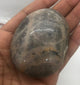 Black Moonstone Palm Stone 2 1/2-3 Inch - Infinite Treasures, LLC