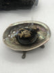 Small Natural Red Abalone Sea Shell 3-4 Inch polished one side - Infinite Treasures, LLC