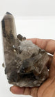 3.75" 10oz Smoky Quartz Cluster Natural Druzy Mineral - Infinite Treasures, LLC